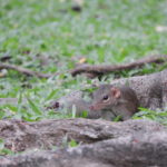 【ライフハック】生活スピードを変える